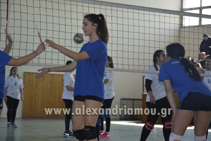 volley_1o-alexandreias-melikis2018 (61)